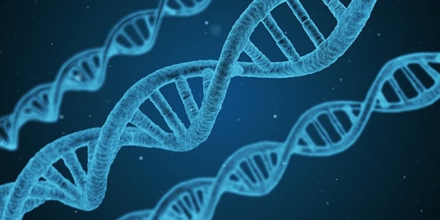 vÄ›da rozluÅ¡tila DNA